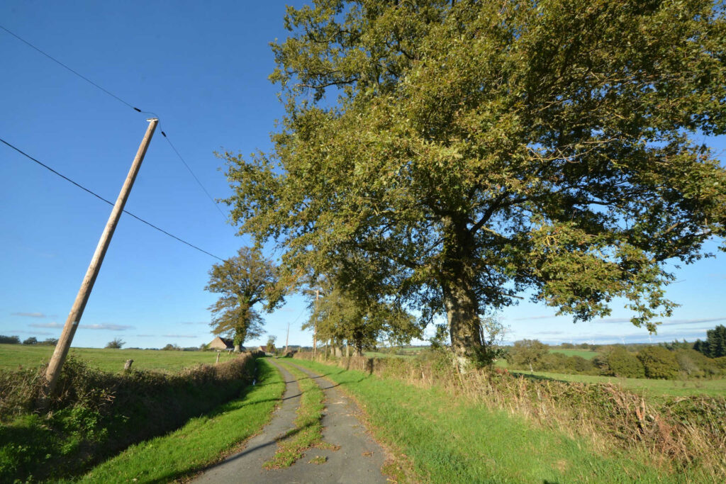 Une route dans la campagne creusoise.