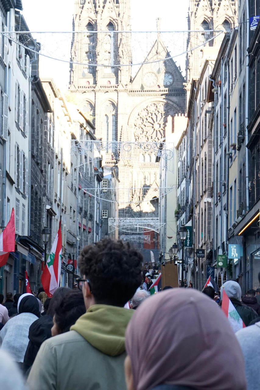 On voit ici la rue des Gras de Clermont-Ferrand, pleine de manifestants. On aperçoit en fond, la cathédrale, vers laquelle le cortège se dirige.