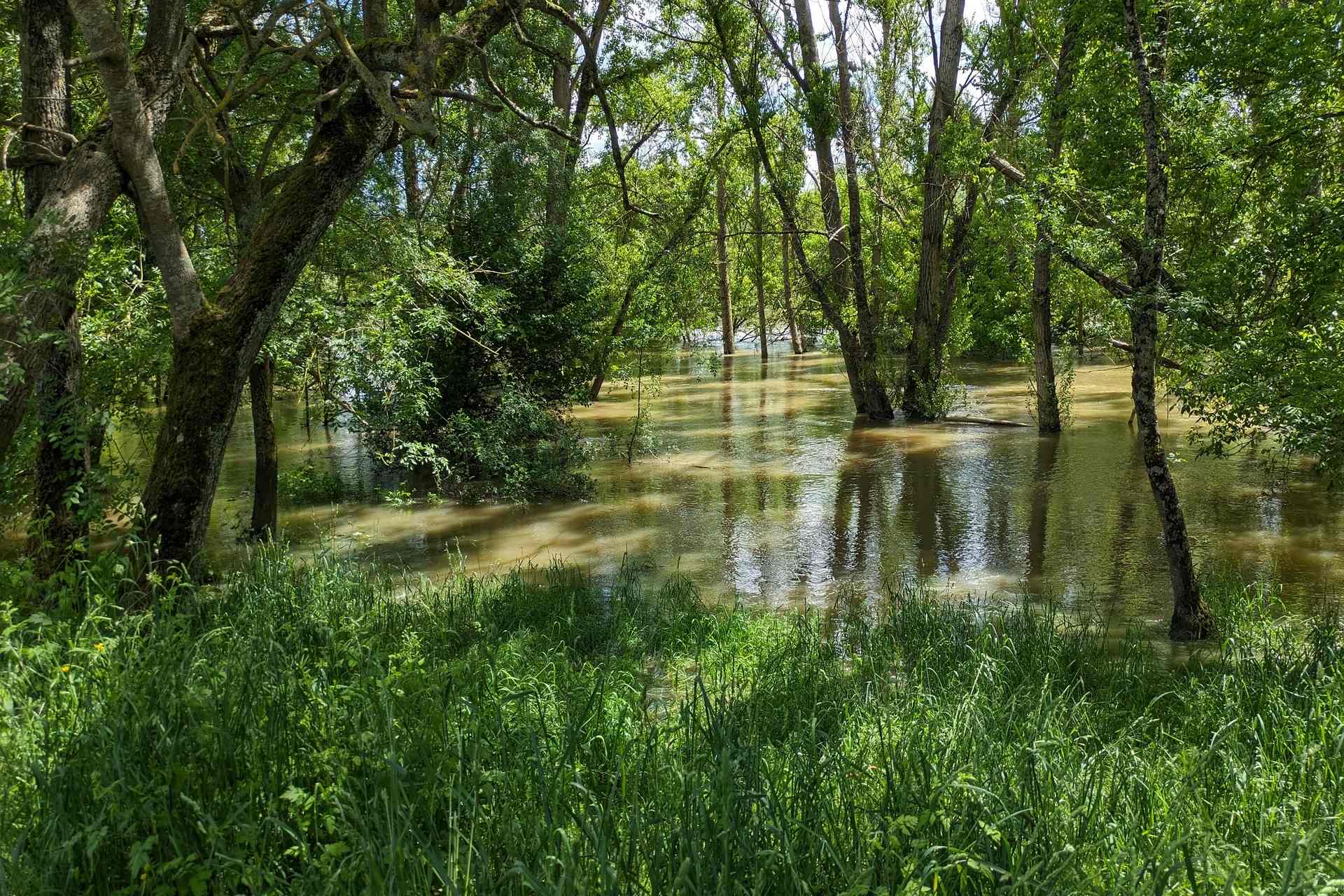 Photo montrant les bords de l’Allier.
